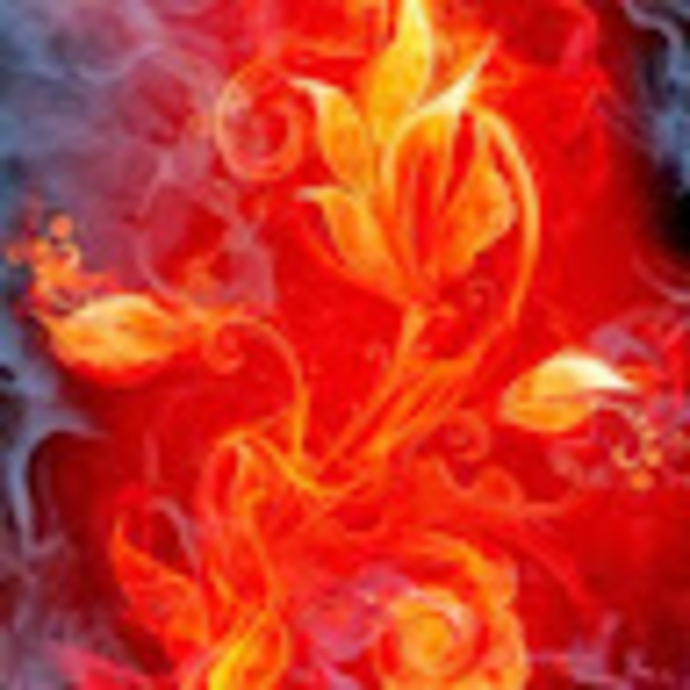 Meet your Posher, Holly